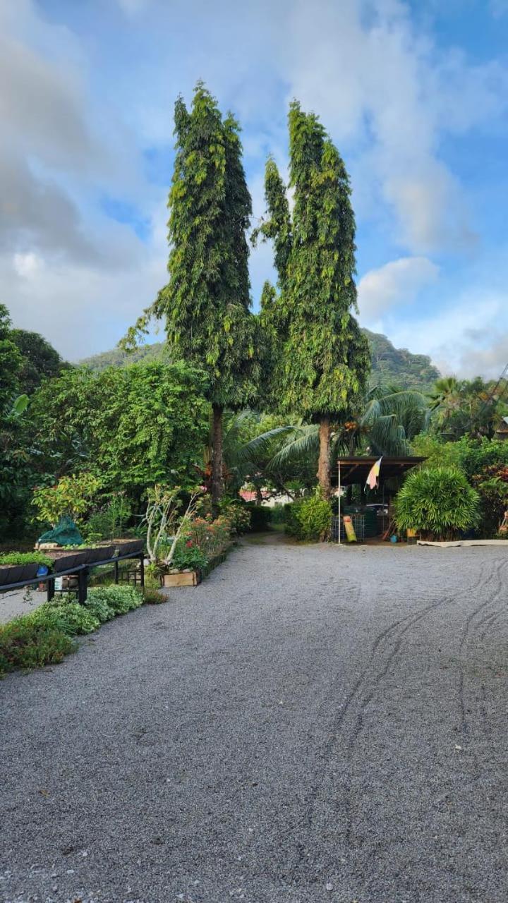 Green Self-Catering Apartment Beau Vallon  Esterno foto